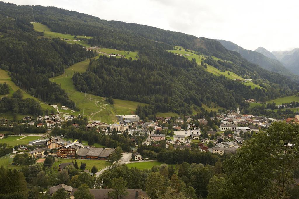 Sonnenblume Kusenberg Schladming